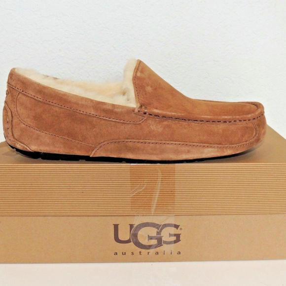 UGG Australia Ascot Slippers Loafers - Chestnut - Picture 2 of 5
